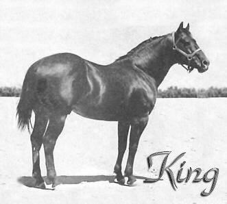 king4-2in.jpg (14540 bytes)