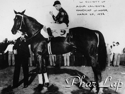 pharlap.jpg (49946 bytes)